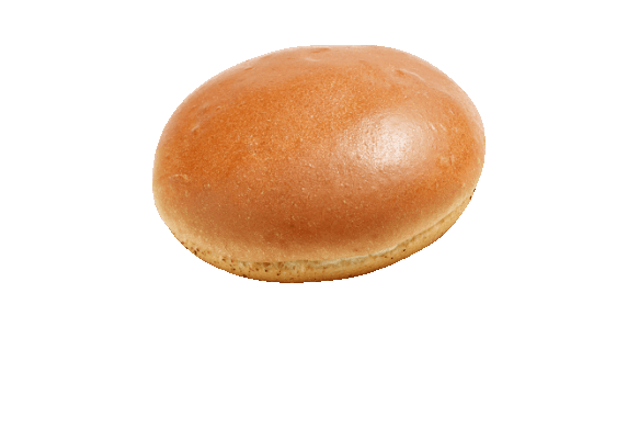 Brioche Hamburger Bun