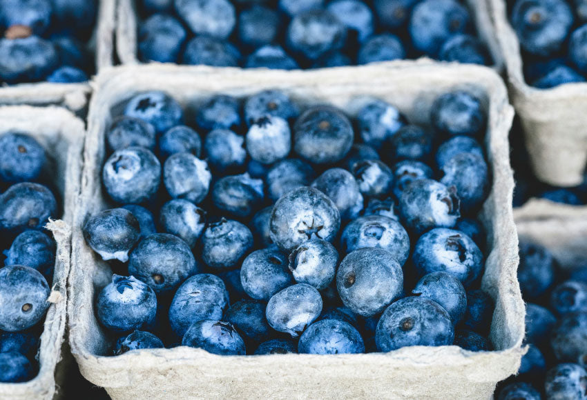 Wild about (wild) blueberries