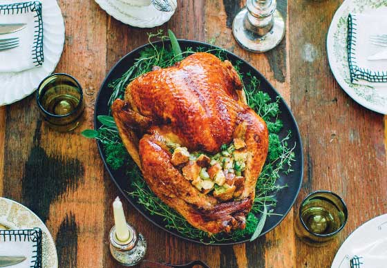 Thanksgiving Meal Ideas