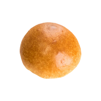 Gourmet Slider Bun