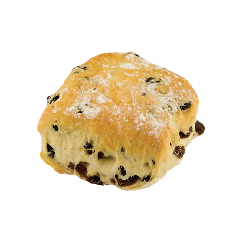 Fruit Scone