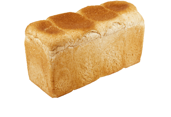 Whole Wheat Loaf